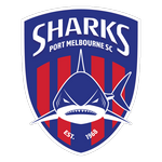Away Team Flag