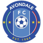 Home Team Flag
