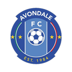 Home Team Flag