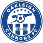 Home Team Flag