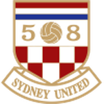 Home Team Flag