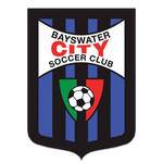Home Team Flag