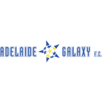Home Team Flag