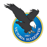 Home Team Flag
