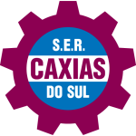 Home Team Flag