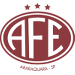 Home Team Flag