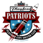 Home Team Flag