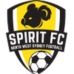 Home Team Flag