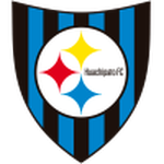 Home Team Flag