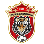 Home Team Flag