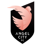 Home Team Flag