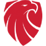 Home Team Flag