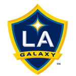 Home Team Flag