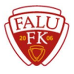 Home Team Flag