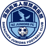 Away Team Flag