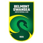 Home Team Flag