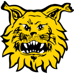 Away Team Flag
