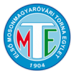 Home Team Flag