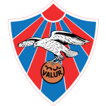 Home Team Flag