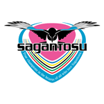 Home Team Flag