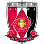 Home Team Flag