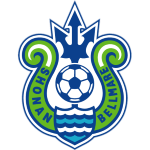 Home Team Flag
