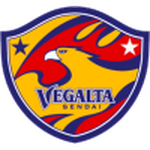 Home Team Flag