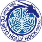 Home Team Flag