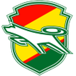 Home Team Flag