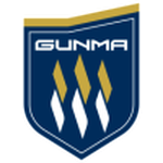Away Team Flag