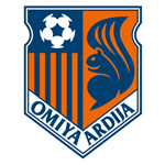 Home Team Flag
