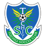 Home Team Flag