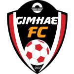 Home Team Flag