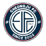 Home Team Flag