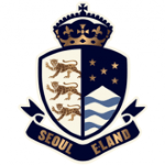Away Team Flag