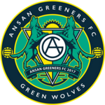 Home Team Flag
