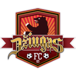 Home Team Flag