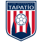 Home Team Flag