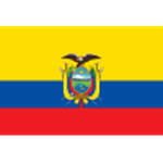 Home Team Flag