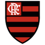 Home Team Flag