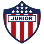 Home Team Flag