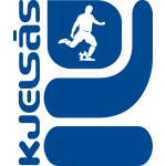 Home Team Flag