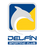 Home Team Flag