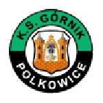 Home Team Flag