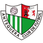 Away Team Flag