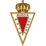 Home Team Flag