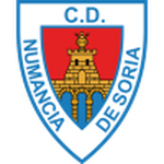 Home Team Flag