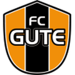 Home Team Flag