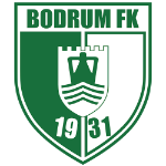 Home Team Flag