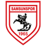 Home Team Flag